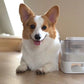 Interactive Pets Leaking Toy Original Funny Pets Food Feeder Dispenser Slow Food Feeding Container Toy for Pets Products-4