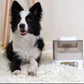 Interactive Pets Leaking Toy Original Funny Pets Food Feeder Dispenser Slow Food Feeding Container Toy for Pets Products-0