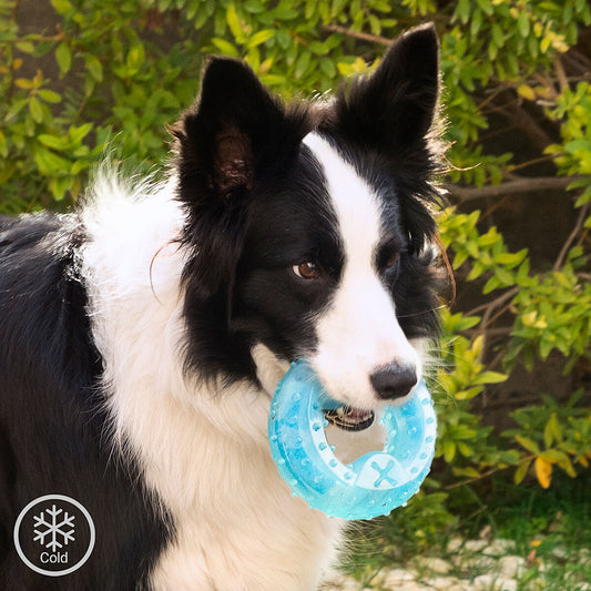2-in-1 Freezable Pet Chew Toy Glubiz InnovaGoods-0