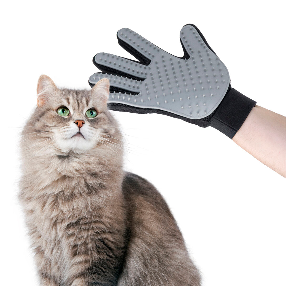 Fellpflege- & Massagehandschuh für Haustiere