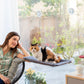 Fenster-Hängematte für Katzen