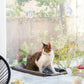 Fenster-Hängematte für Katzen