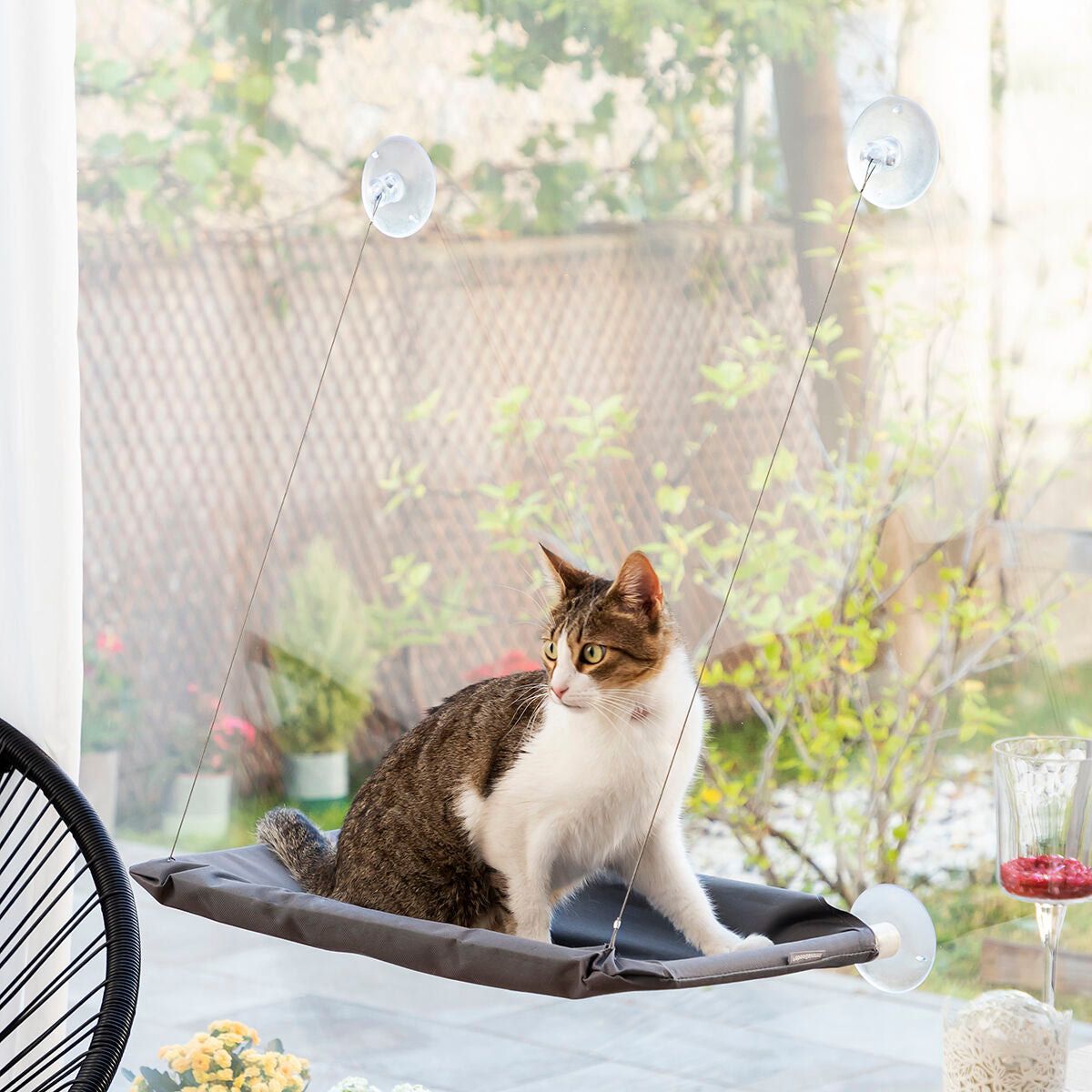 Fenster-Hängematte für Katzen
