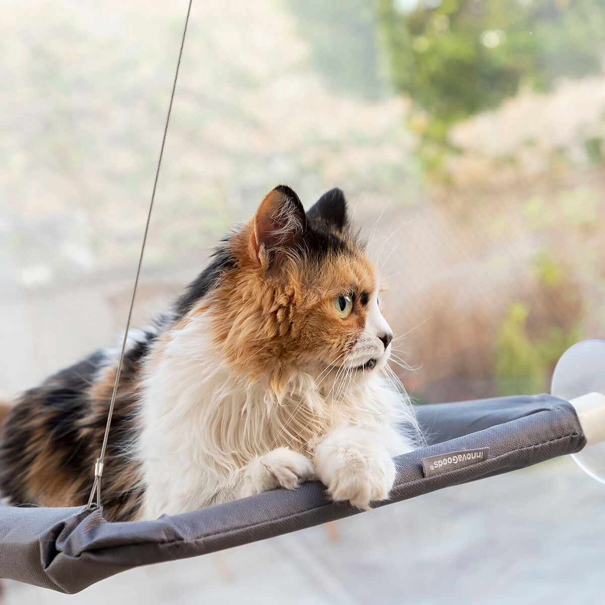 Fenster-Hängematte für Katzen