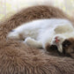 Super Soft Dog Bed Plush Cat Mat Dog Beds For Large Dogs Bed Labradors House Round Cushion Pet Product Accessories-4