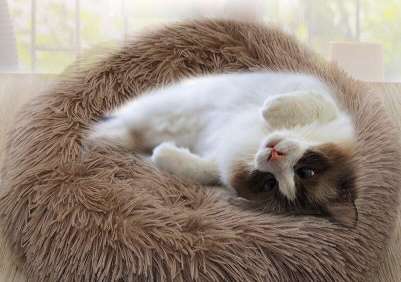 Super Soft Dog Bed Plush Cat Mat Dog Beds For Large Dogs Bed Labradors House Round Cushion Pet Product Accessories-4